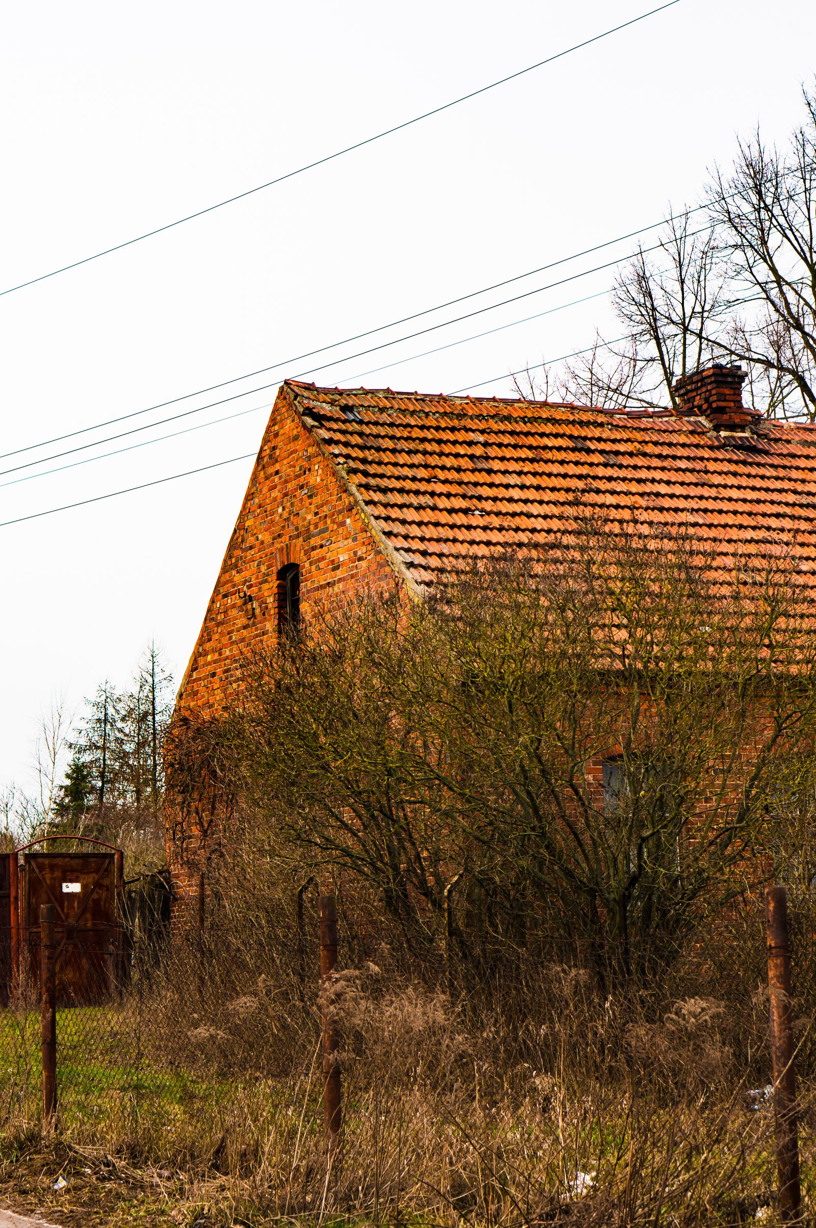 Damage or missing shingles